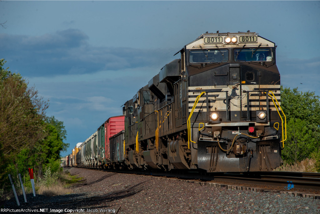 NS 8011